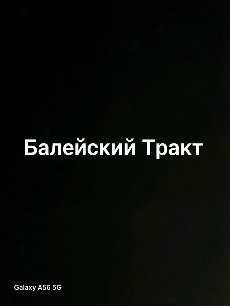 Колесо остановлено